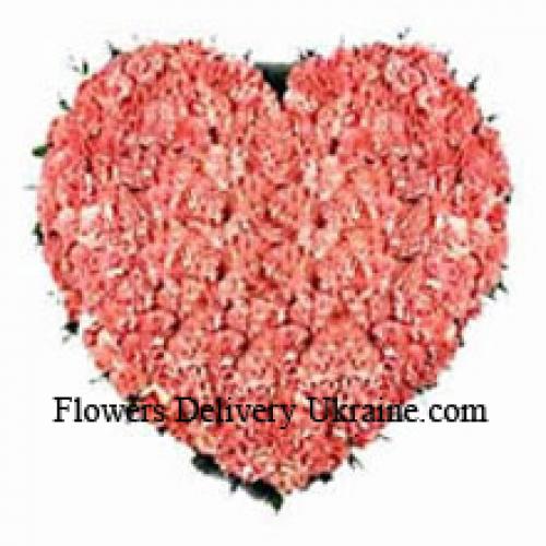 101 Pink Heart Carnations