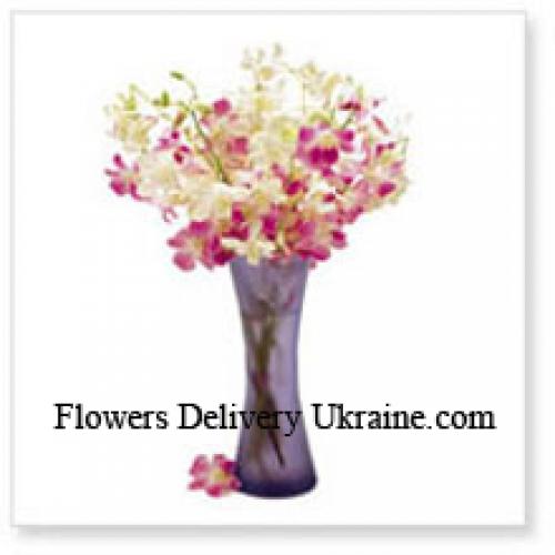 Sweet Orchids in Vase