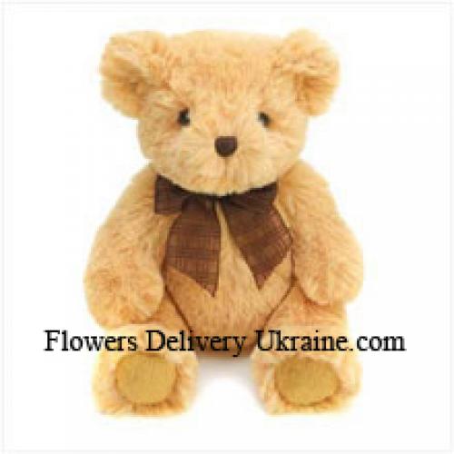 Cuddly 6 Inch Brown Teddy