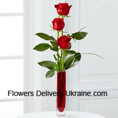 3 Cute Red Roses